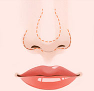 原生芭比弧线鼻