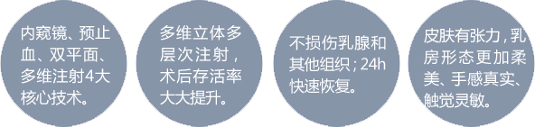 好莱坞维密复合定制美胸优势