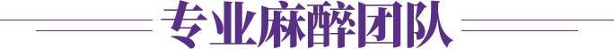 公立医院级别的麻醉团队