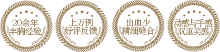 美莱丰胸专家——吴继东擅长项目